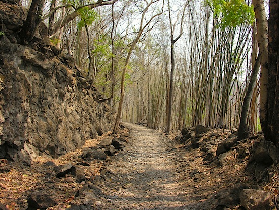A trail into tragic history.