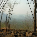 One of the views over the Khwae Noi Valley.