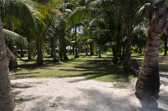 It's a jungle out there.