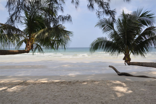 Those coconuts are bananas!