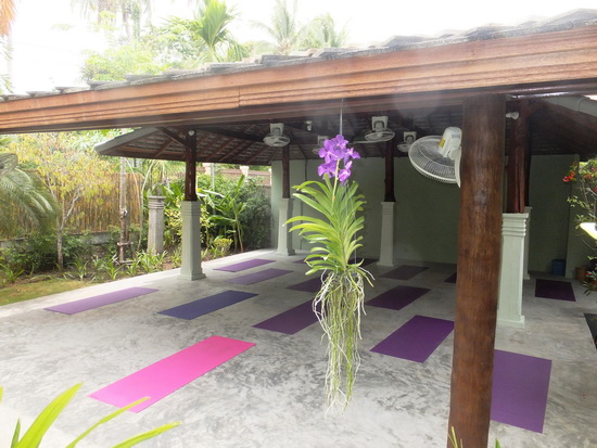Open air and pretty. A good spot for a stretch.