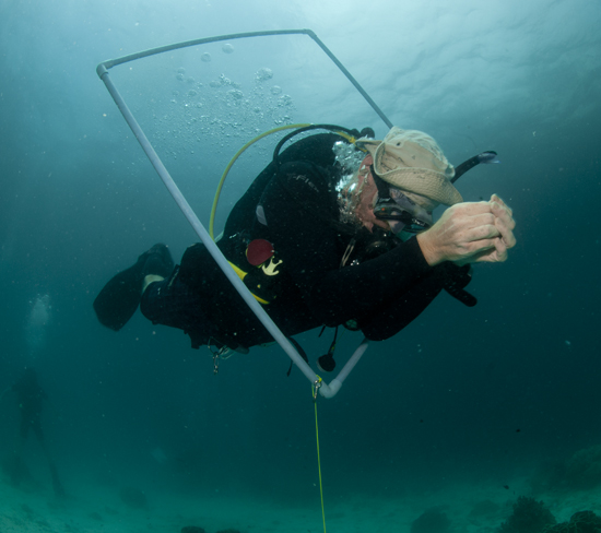 Learning Buoyancy