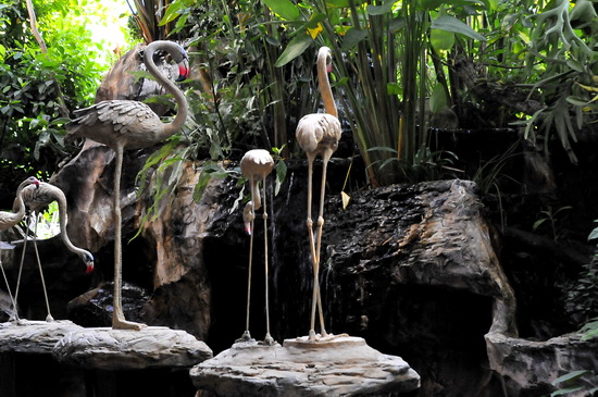 The flamingos just ad to the wackiness