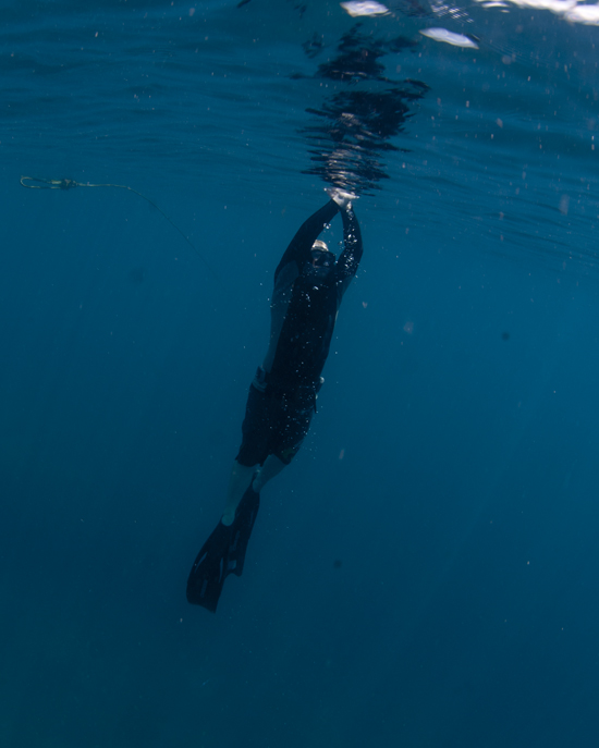 Breaking the surface.