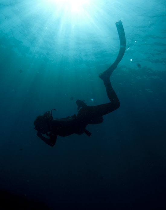 Deep Blue