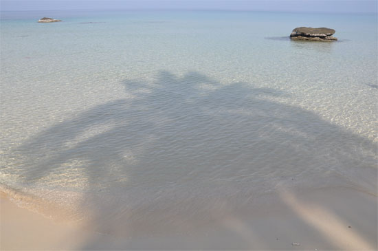 Hmm what do you think is making that shadow?