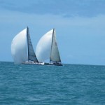 With spinnakers out, it seems yachts can sail uphill.