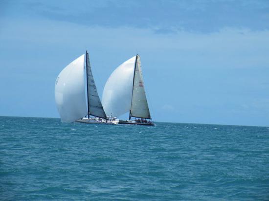 With spinnakers out, it seems yachts can sail uphill.