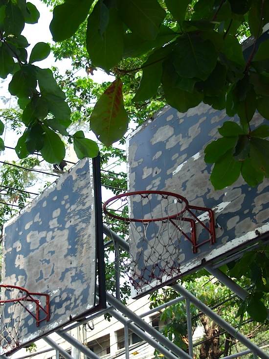 Leafy hoops -- somewhere in Din Daeng.