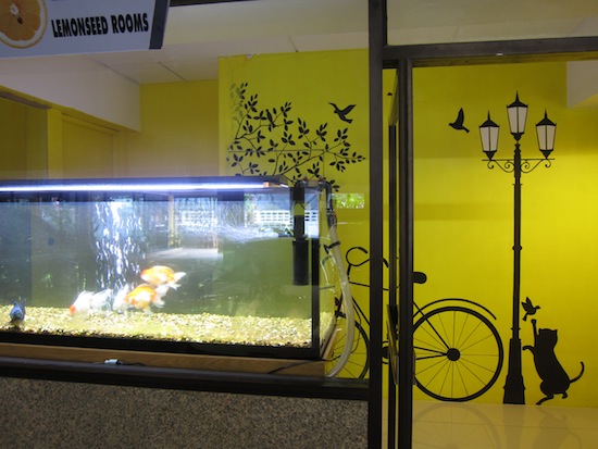 The fish is thinking,