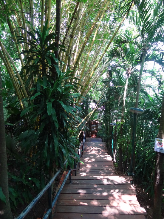 No dining-and-dashing here: the winding entrance to Tunk-ka Cafe.