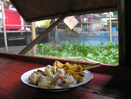 Chicken tom ka and stir-fried pumpkin, with a view of the swan's house.