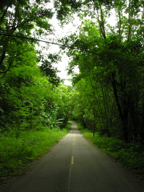 Into the green at Mae Wong.