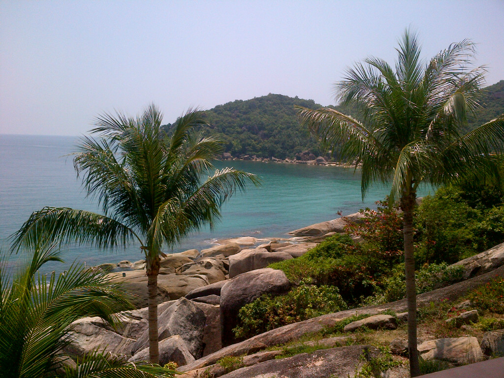 View from the office lunch.