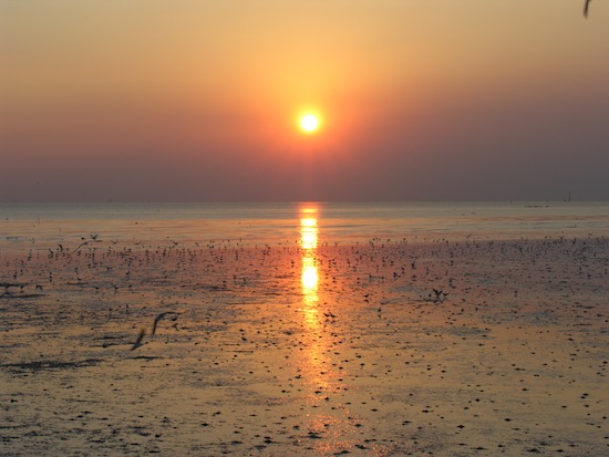 Taken at Baan Pu, Samat Prakan.