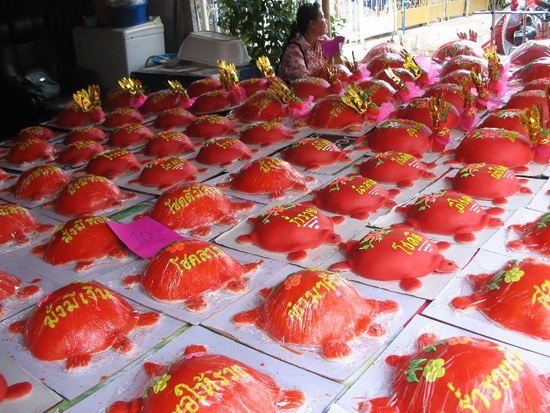 Red turtles at the ready to bring to the shrines.