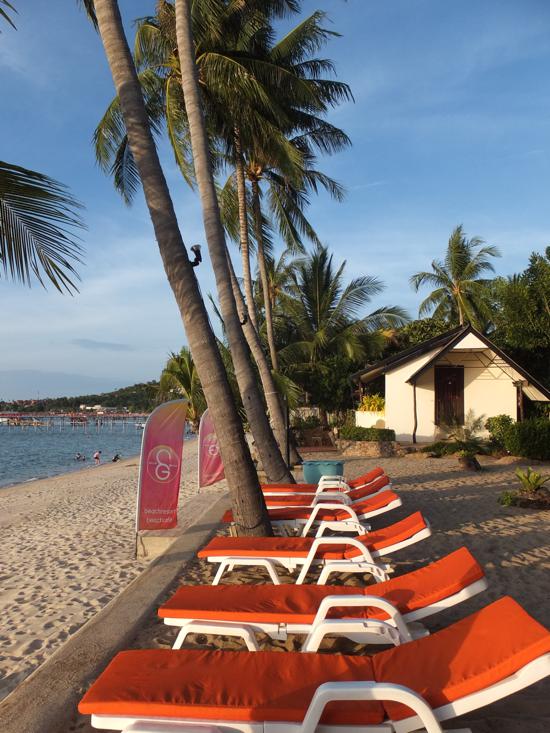 Orange sunset, orange chairs. Now for an orange cocktail.