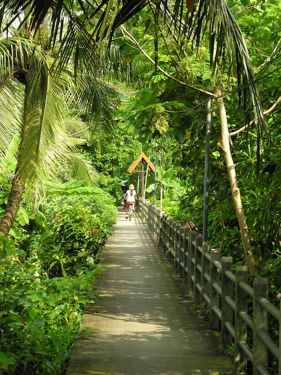 Bang Kachao: Into the green.