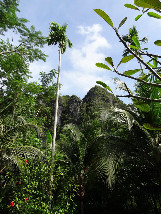 Gardens galore and a mountain view from the hillside villa balcony.