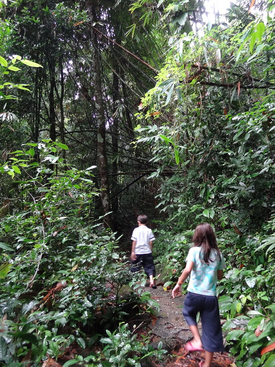A relatively easy mini trek for the kids.