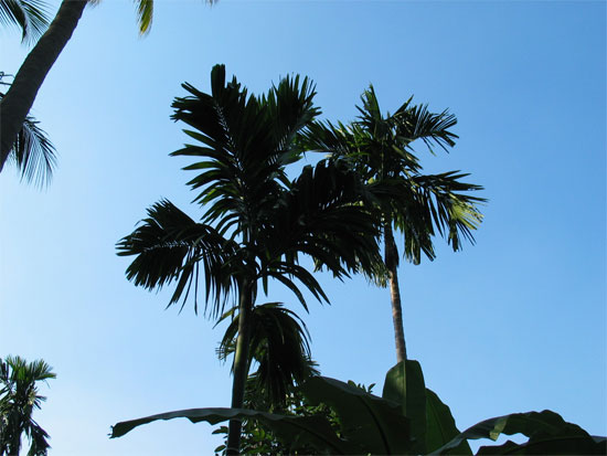 Blue skies in Bangkok!
