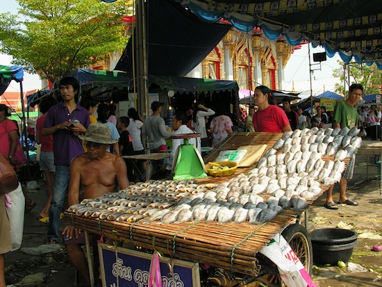 It's these fishes' day in the sun too.