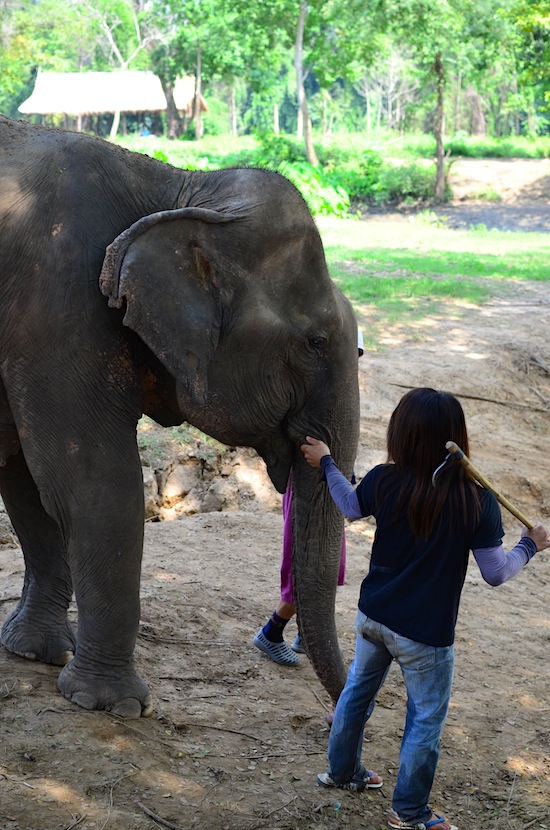 Gently guiding blinded Lam Duan to drink.