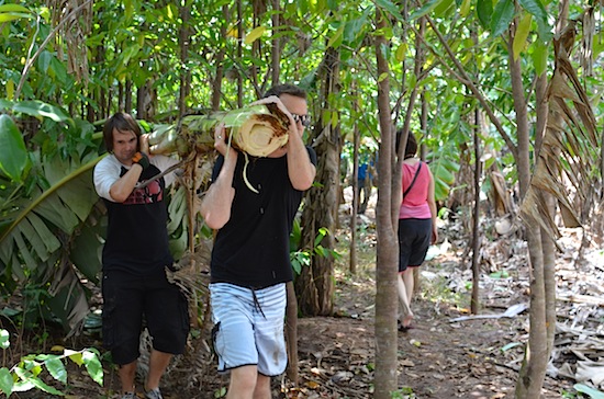 Like we said -- working for the elephants.