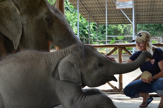 Happy elephants, happy people.