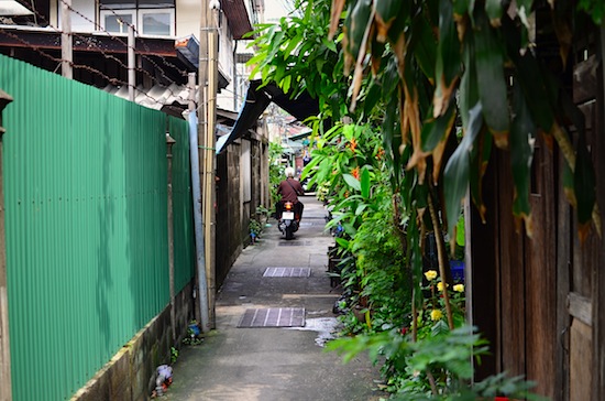 The back way to Cozy Place -- feels cosy already.