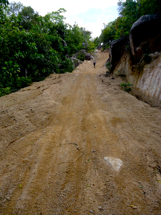 Dead End?