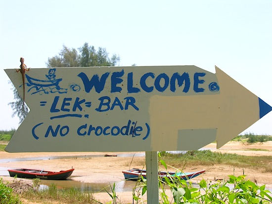 Hmm, is that a baby croc perched on the top left corner?