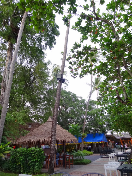 Kan Eang 2 restaurant is a top spot for hor mok.