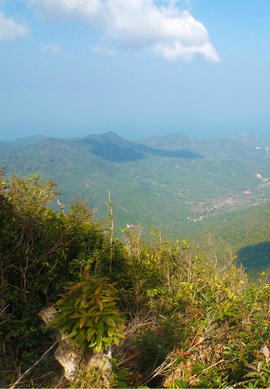View from Khao Ra