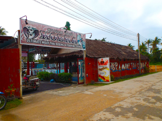 Cobra Muay Thai Ko Pha Ngan