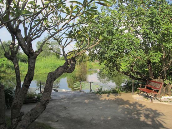 Frangipanis, a canal, a view of the mountains, wifi, and coffee. What more could you possibly, ever want?
