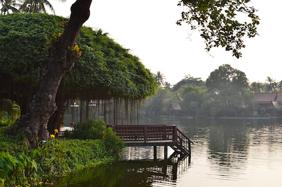 Who's up for a swan boat ride?