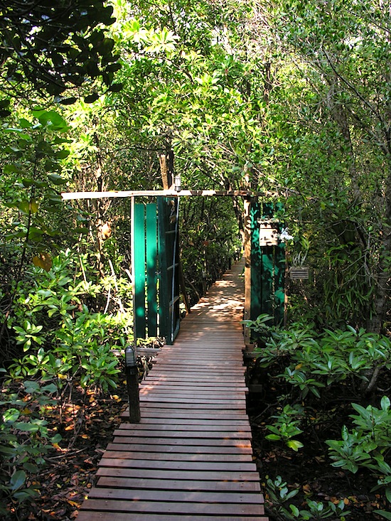 The entrance to Baan Rim Nam.