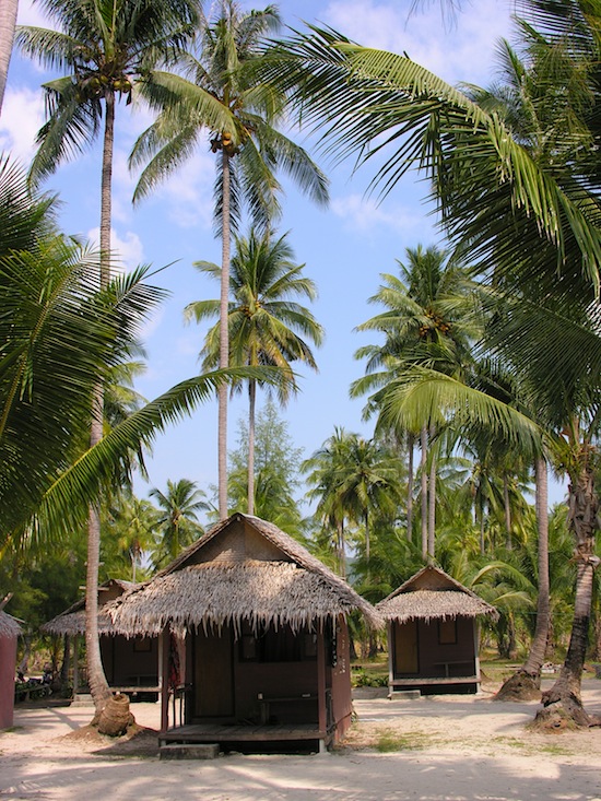 A few budget bungalows remain on Khlong Prao, like these at Tiger Huts.