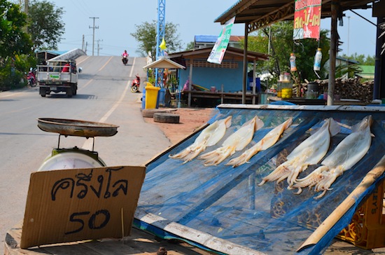 Welcome to the Mae Khlong region.