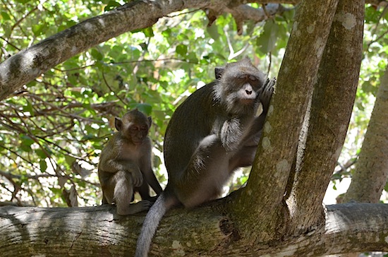 This photo was taken from a metre away.