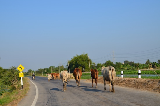 Traffic in Nakhon Chai Si.