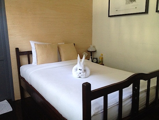 Just a peek (for you and the bunny).