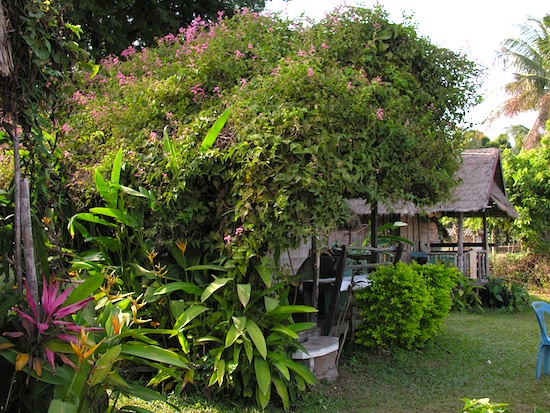 Bungalow or flower bush -- or both?