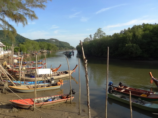 Mangroves and markets: Baan Borrae fishing pier.