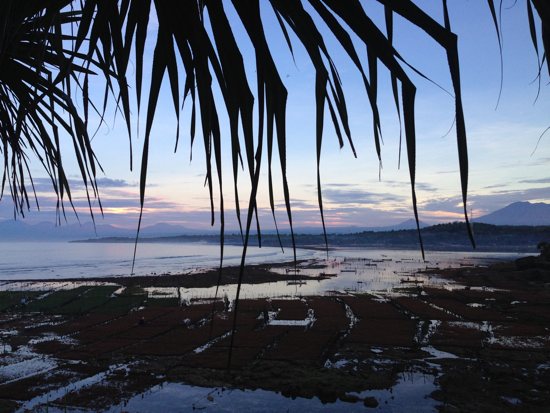 Just another Ceningan sunrise.