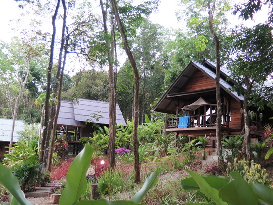 Hill House bungalow's leafy-green setting.