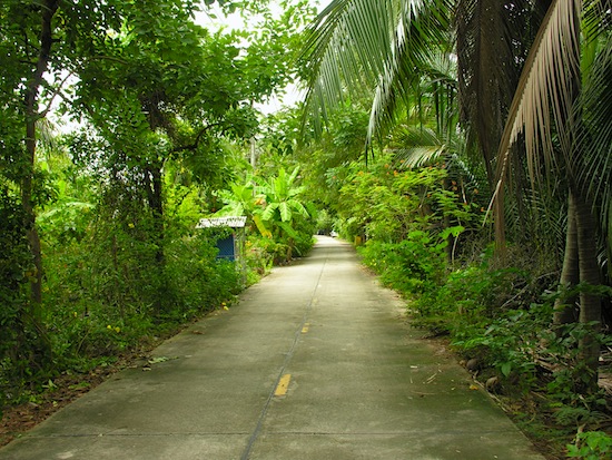 Bang Kachao: No honking allowed.