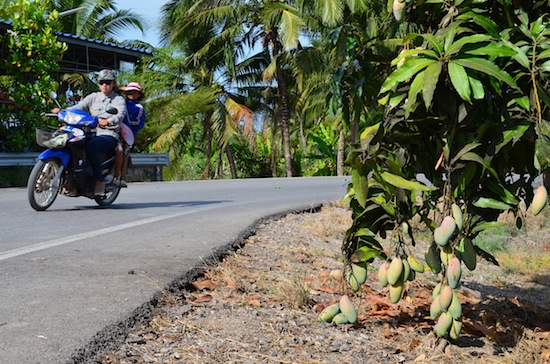 ... Like roadside mangoes, for starters.