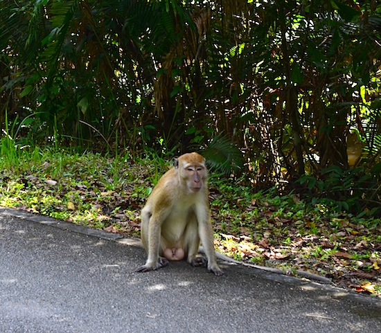 Waiting for a ride?